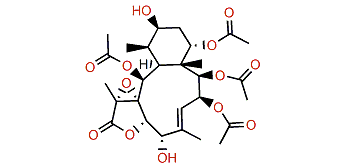 Fragilide A